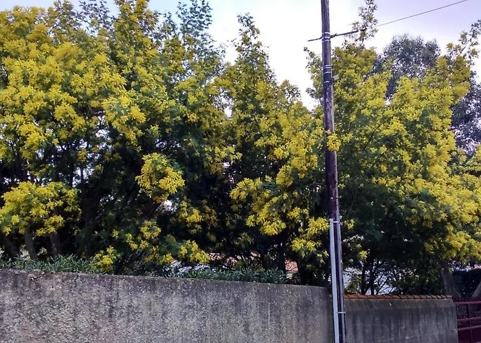 Holiday home Ma Maison *